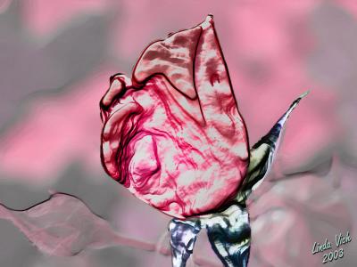 rose2.jpg