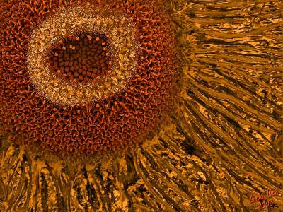 sunflower_nutcracker.jpg