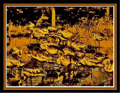 flamingos2.jpg