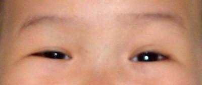u35/mama/medium/22798685.Dsc00910eyes.jpg