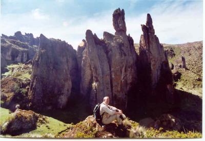 Nature inspired by the Moai's of Easter Island