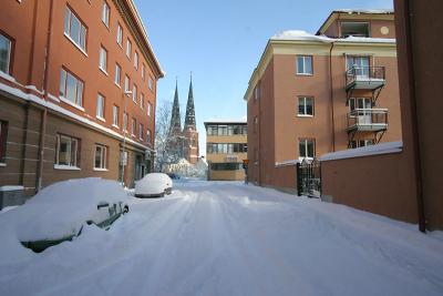 Feb 27: Snowy Uppsala