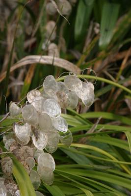 IMG_5781.jpg