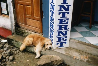 internet at Macchu Picchu...