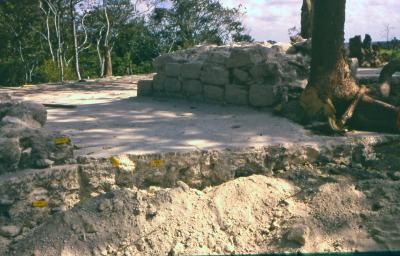 Living Floor & Tumbled Walls of Structure 8