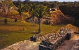 Altun-Ha Horse