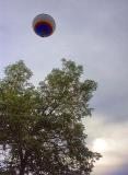 Balloon, Tree, & Sun