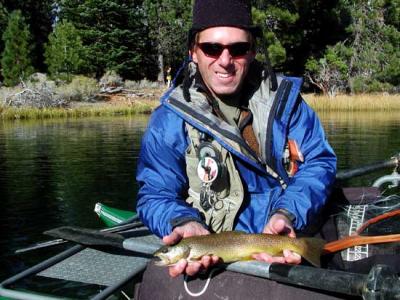 jim's nicest manzanita brown