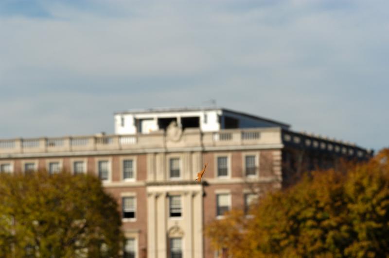 DSC_3049.jpg