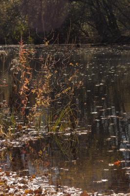 DSC_3041.jpg