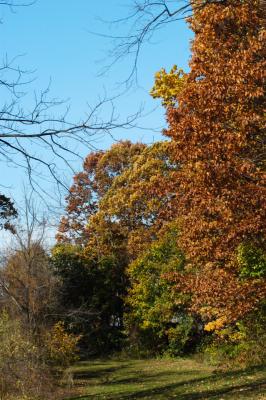 DSC_3044.jpg