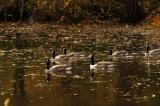 DSC_2906.jpg