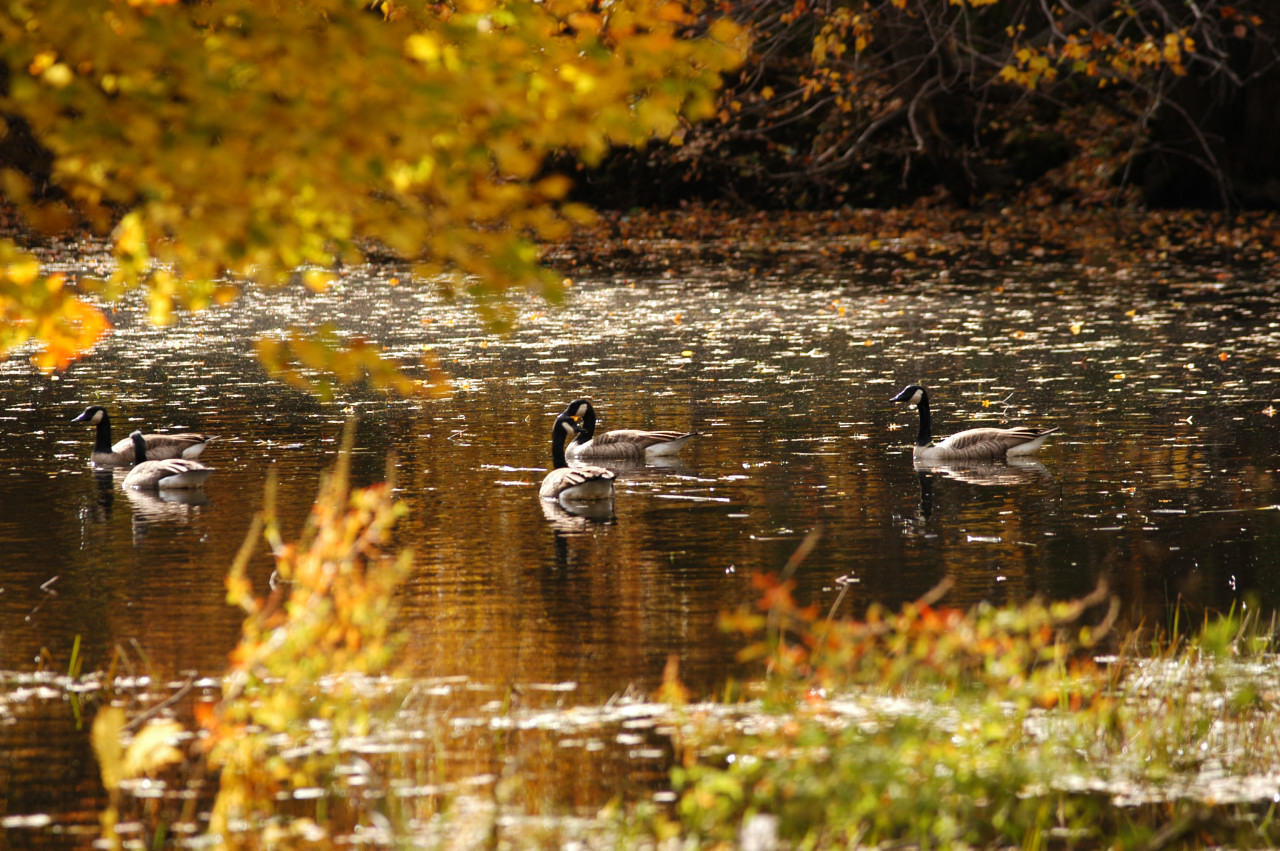 DSC_2894.jpg