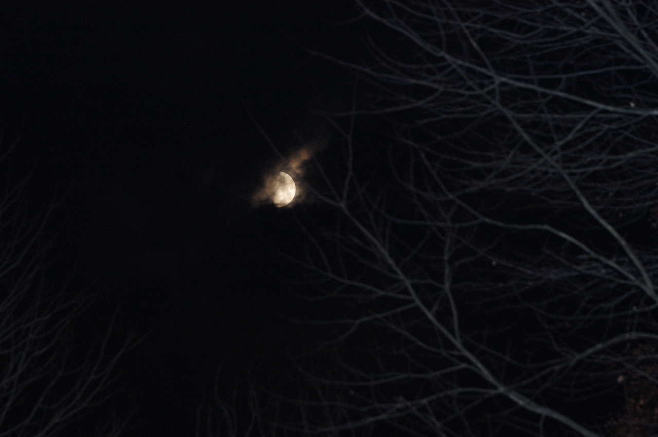 DSC_3065.jpg