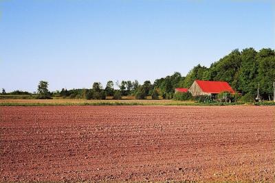 Red House