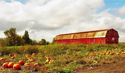 Temps d'automne