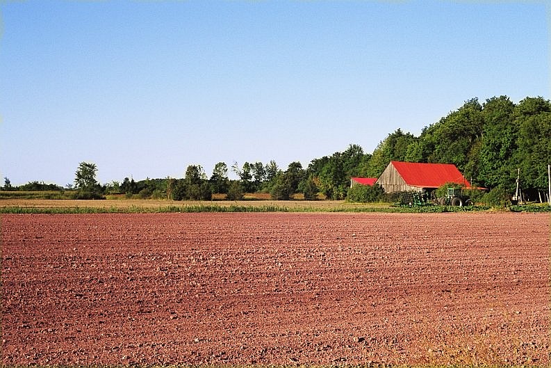 Red House