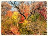 autumn-colors-gp01.jpg