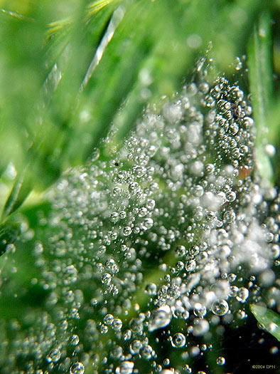 2812-raindrop-array.jpg