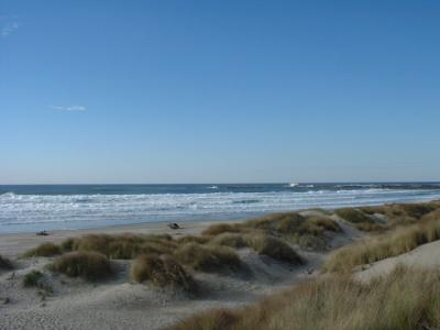 Oregon coast, Oct 2003