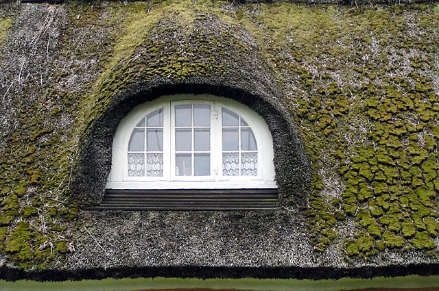 Thatched Roof