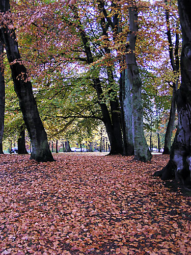 PA309006.jpg