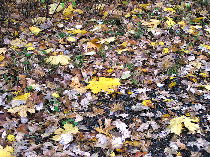 W-PA298936.jpg