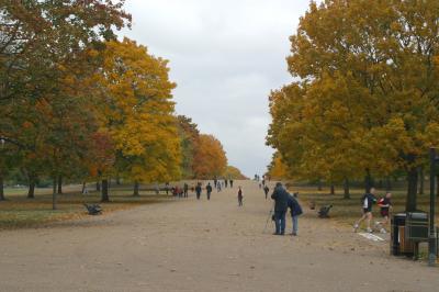 Walking through Hyde park