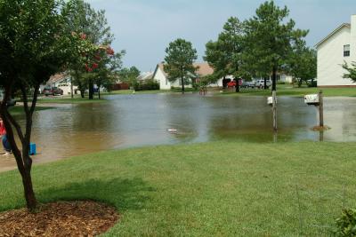 Flooded Day