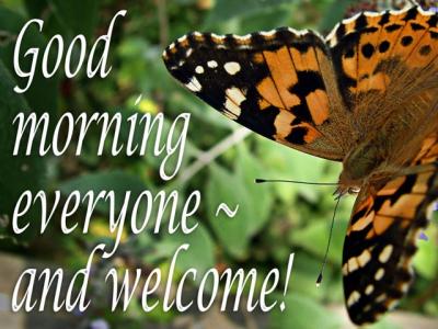 'Welcome' slide from the Butterfly series