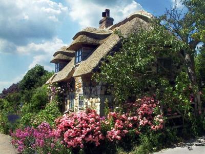 Thatched cottage, Isle of Wight