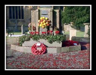 War memorial and poppies, Martock