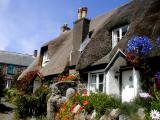 Cadgwith thatch (2007)