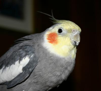 mikey1.jpg