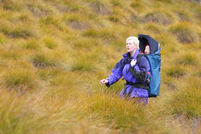 Tussocks on the Way to Marions Lookout