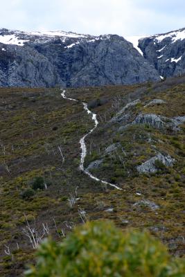 The Road Well Travelled