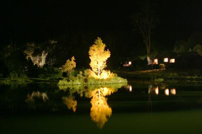 Night View of the Cradle Mountain Lodge Lake