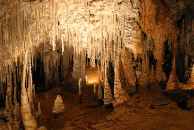 A Garden in Marakoopa Cave
