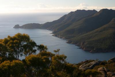 The Rugged Coast from Mount Amos