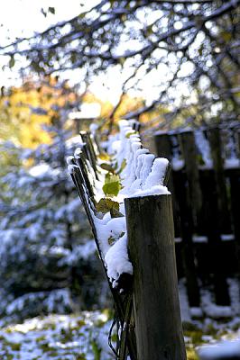 great fence