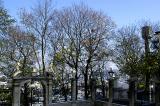 view of lviv from st. george greek catholic cathedral