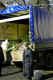 the cabbage truck