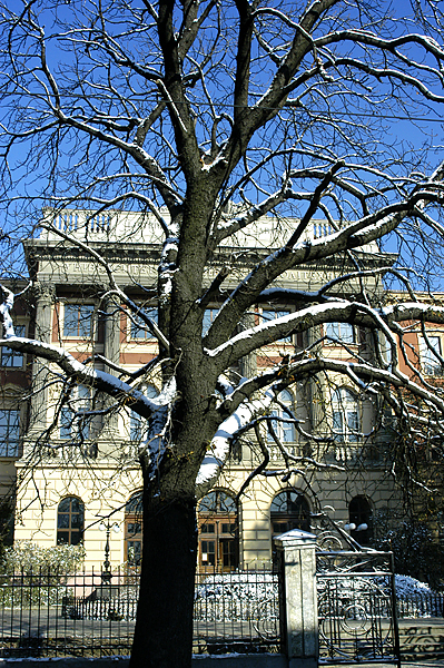 lviv architecture