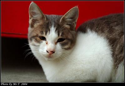 Crop_DSCF5065.jpg