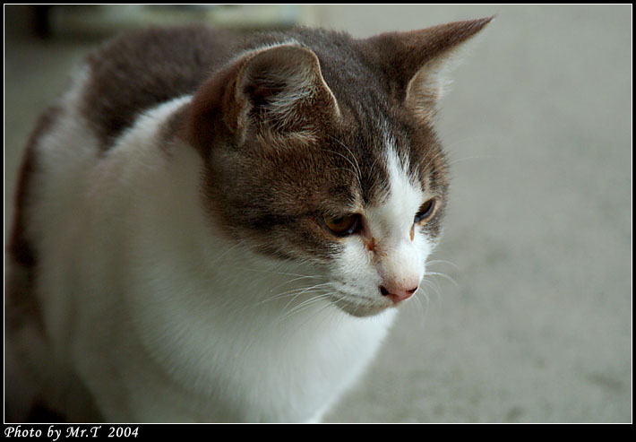 Crop_DSCF5055.jpg