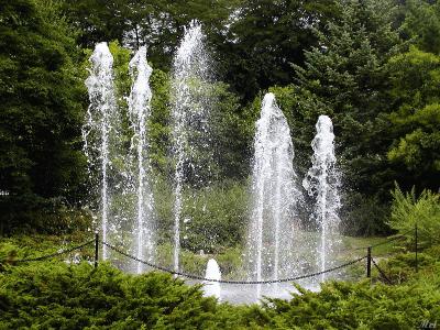 Fountain.jpg(149)