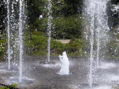 Sparkeling water fountain.jpg(474)