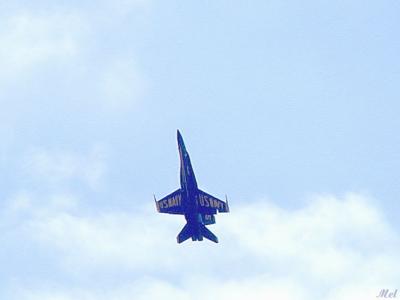 Blue Angel.jpg(328)