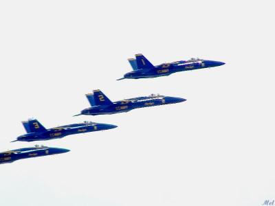 Blue Angels.jpg(254)