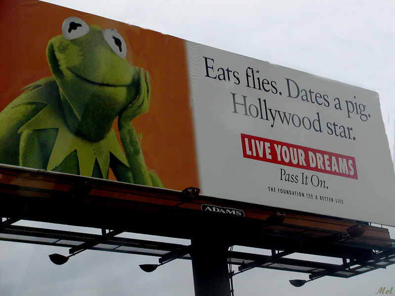 Kermit.jpg(721)